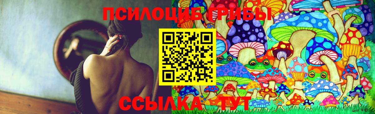 Псилоцибиновые грибы MAGIC MUSHROOMS Ленинск-Кузнецкий