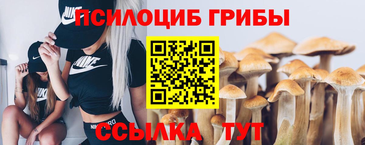 Псилоцибиновые грибы прущие грибы  Вход с VPN  Ленинск-Кузнецкий 